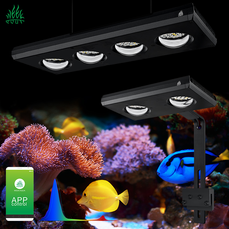 Aquarium Blue Marine Reef - ZXY offre spéciale WEEKAQUA Z250 Z400sea