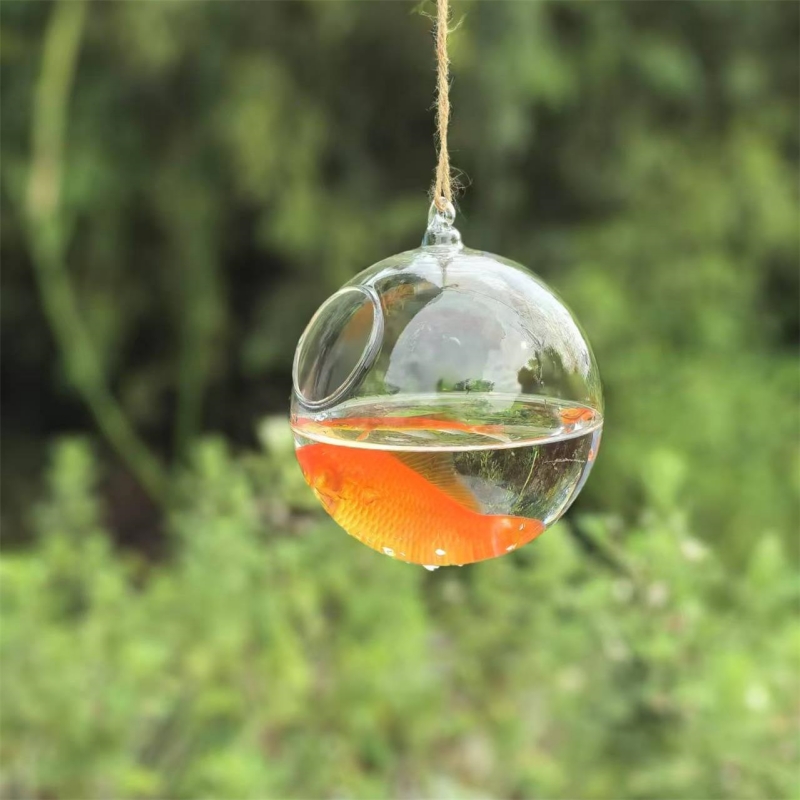 Aquarium & Marine Science Center - Petit terrarium en verre transparent de