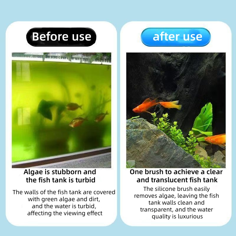 Grattoir télescopique pour alg - Marine Aquarium Glass Scraper avis et prix