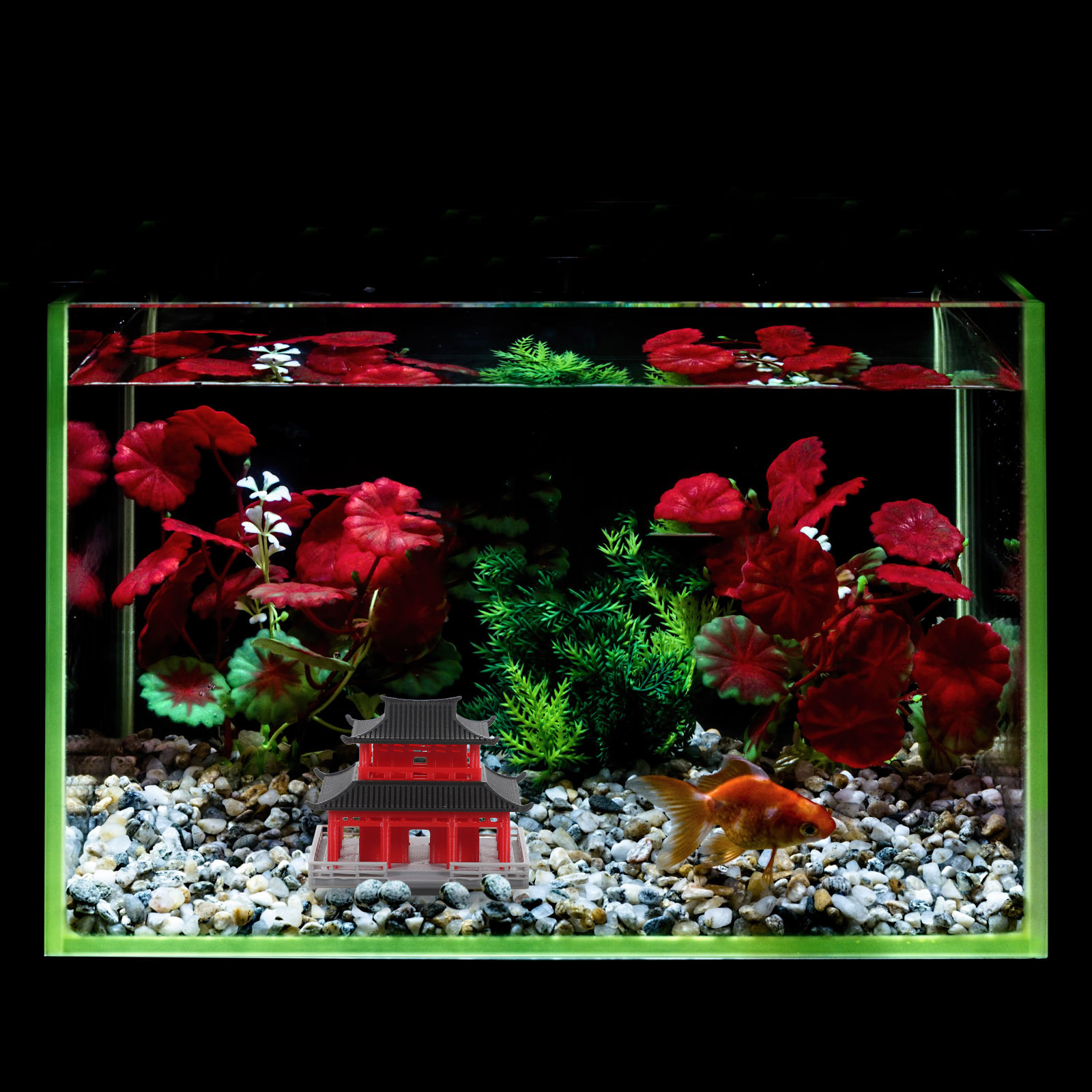 Mini pavillon pagode, architec - Aquarium & Marine Science Center avis et prix