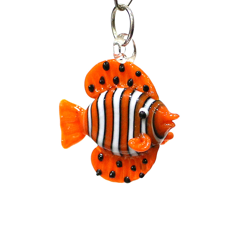 Verre miniature colorée poisso - Marine Aquarium Europe avis et prix
