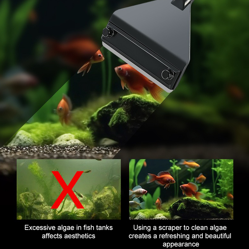 Dissolvant d'algues d'aquarium - Marine Aquarium Glass Scraper avis et prix