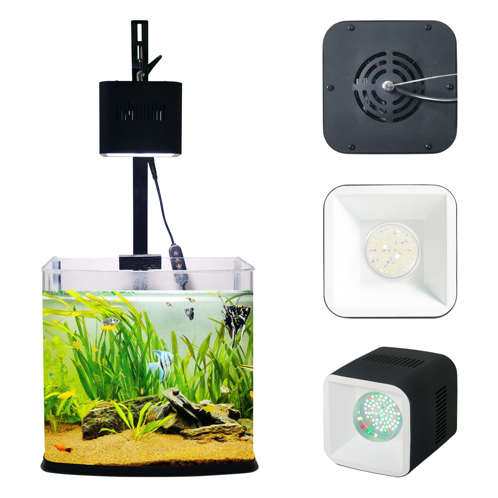 8H 10H 12H panneau de minuteri - Aquarium Blue Marine Reef avis et prix