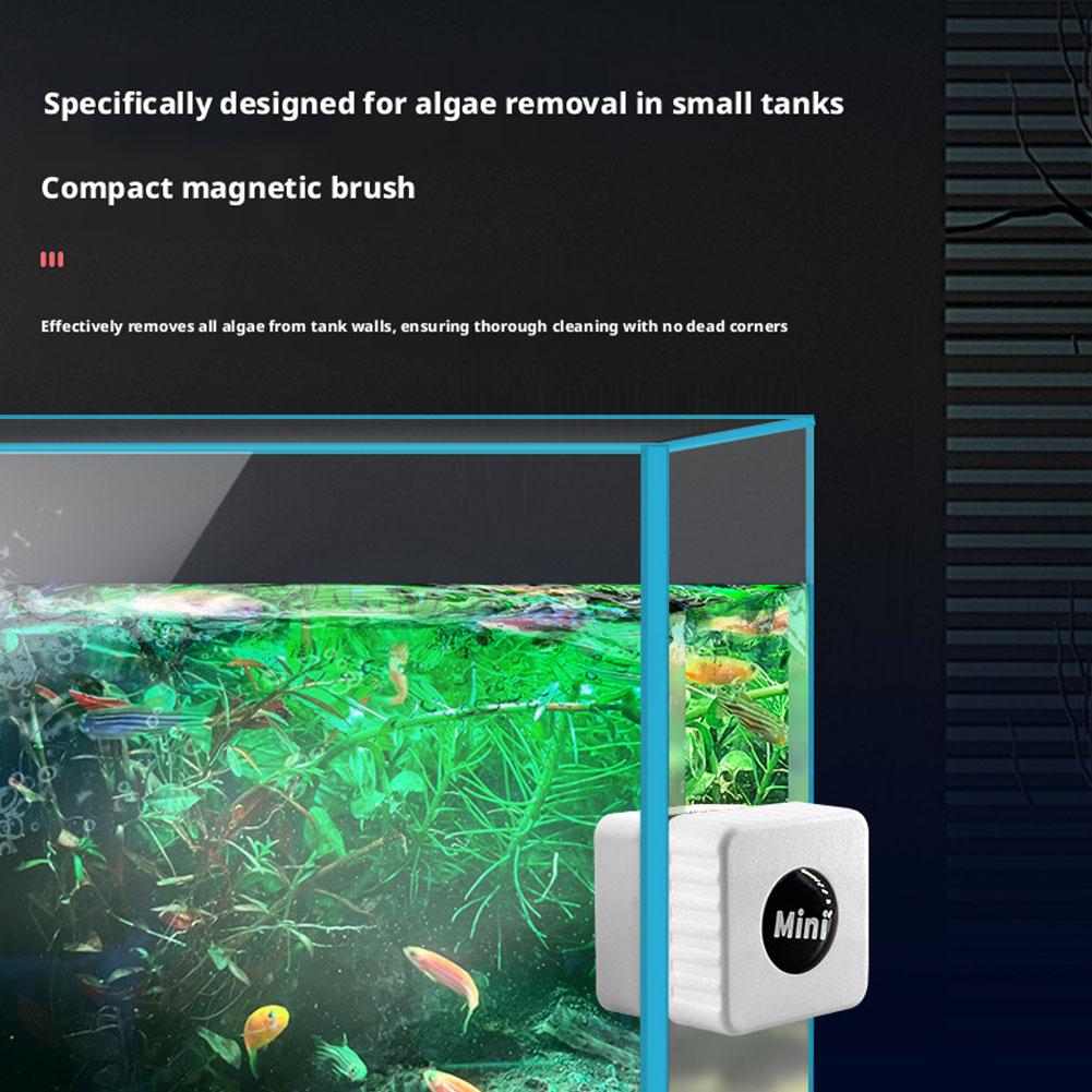 Nettoyeur magnétique pour aqua - Marine Aquarium Glass Scraper avis et prix