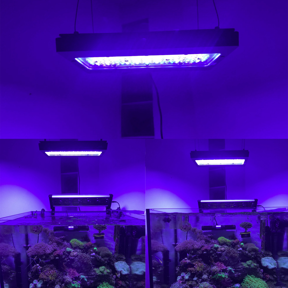 Lampe LED pour aquarium marin  - Aquarium Blue Marine Reef avis et prix