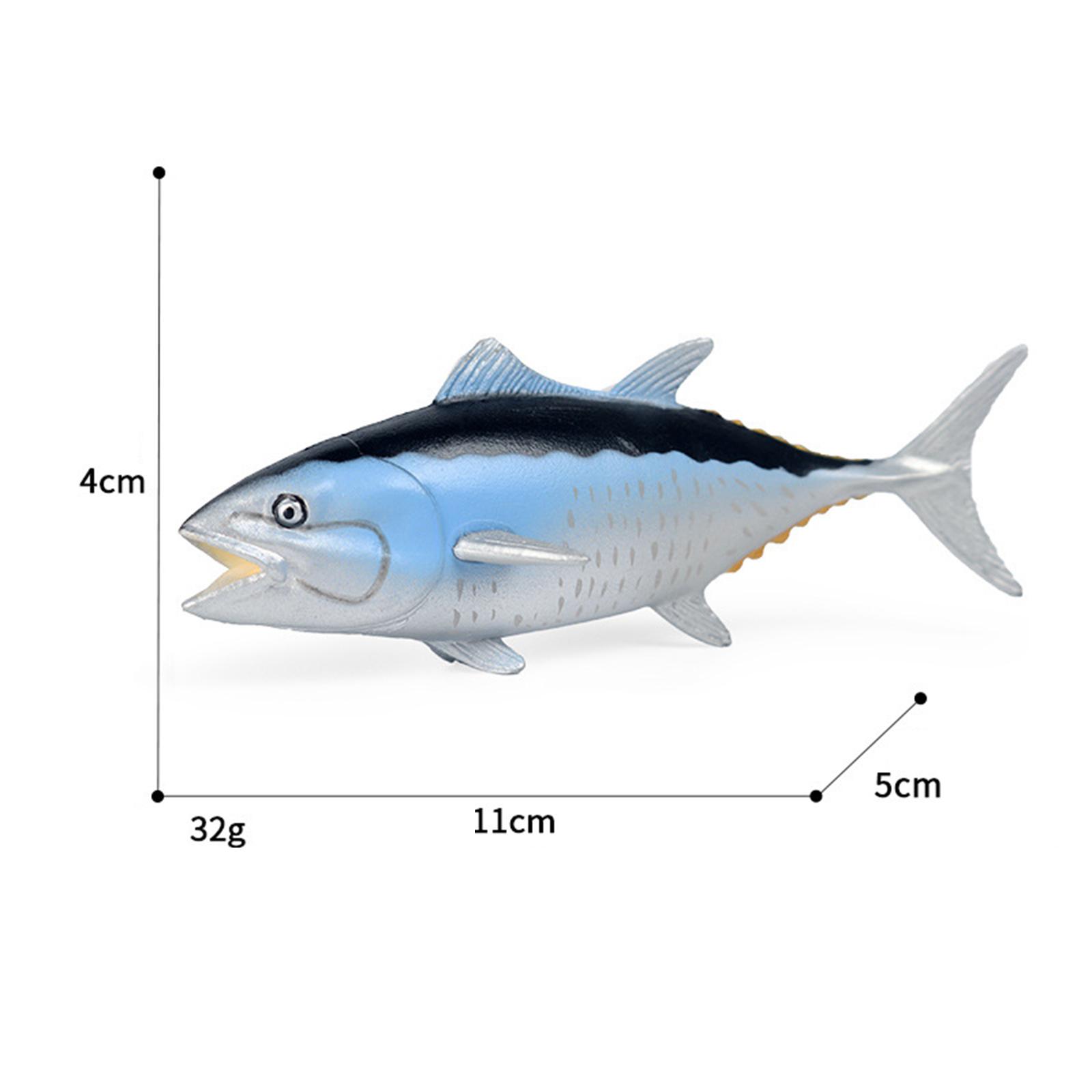 Ensemble de simulation scienti - Marine Zoo avis et prix