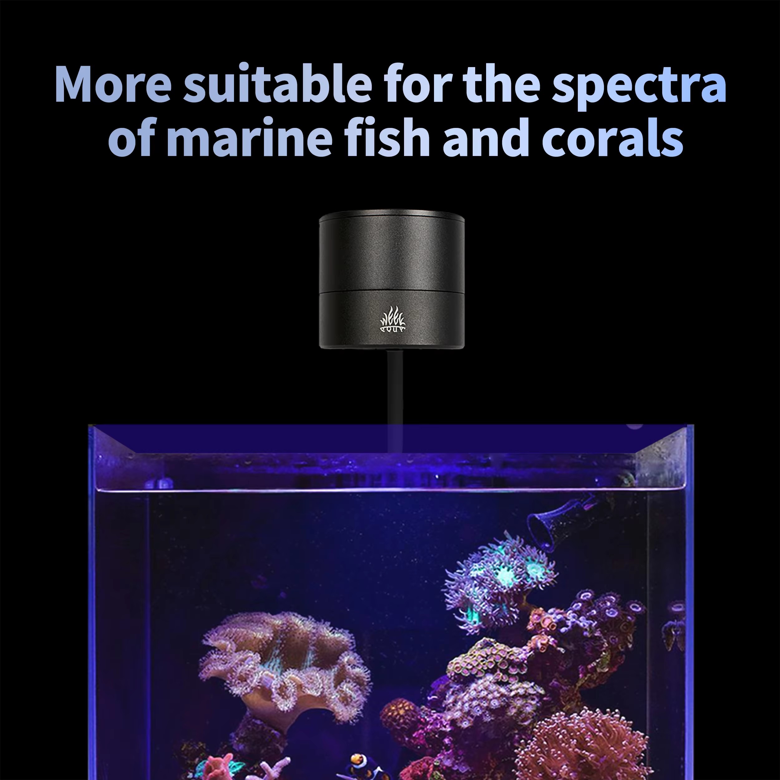 Lampe LED WEEK AQUA pour aquar - Aquarium Blue Marine Reef avis et prix