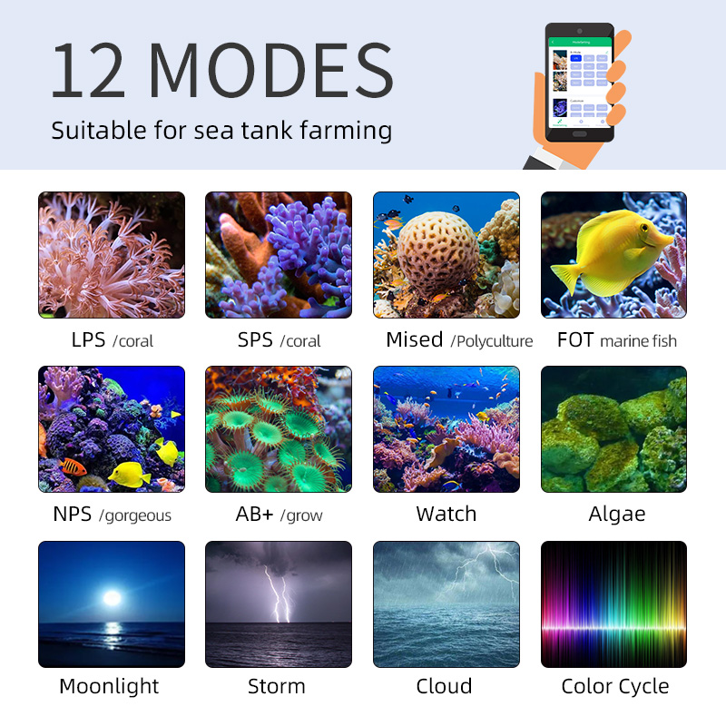ZXY offre spéciale WEEKAQUA Z2 - Aquarium Blue Marine Reef avis et prix