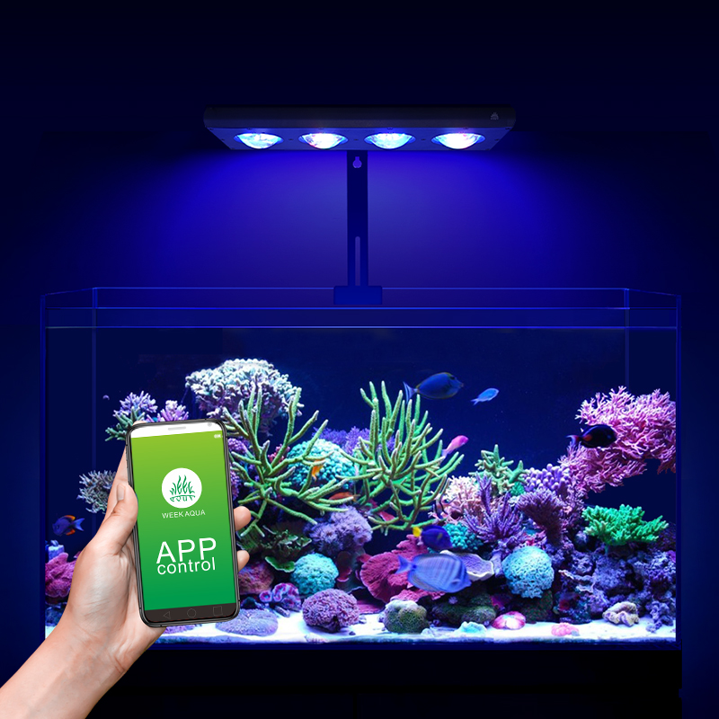 ZXY offre spéciale WEEKAQUA Z2 - Aquarium Blue Marine Reef avis et prix