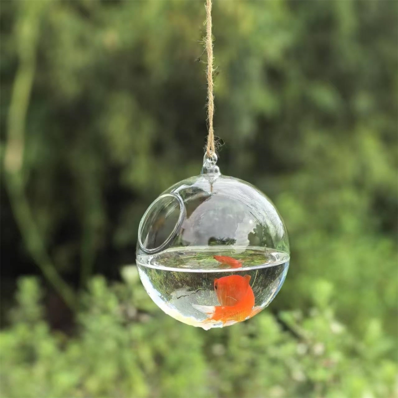 Petit terrarium en verre trans - Aquarium & Marine Science Center avis et prix