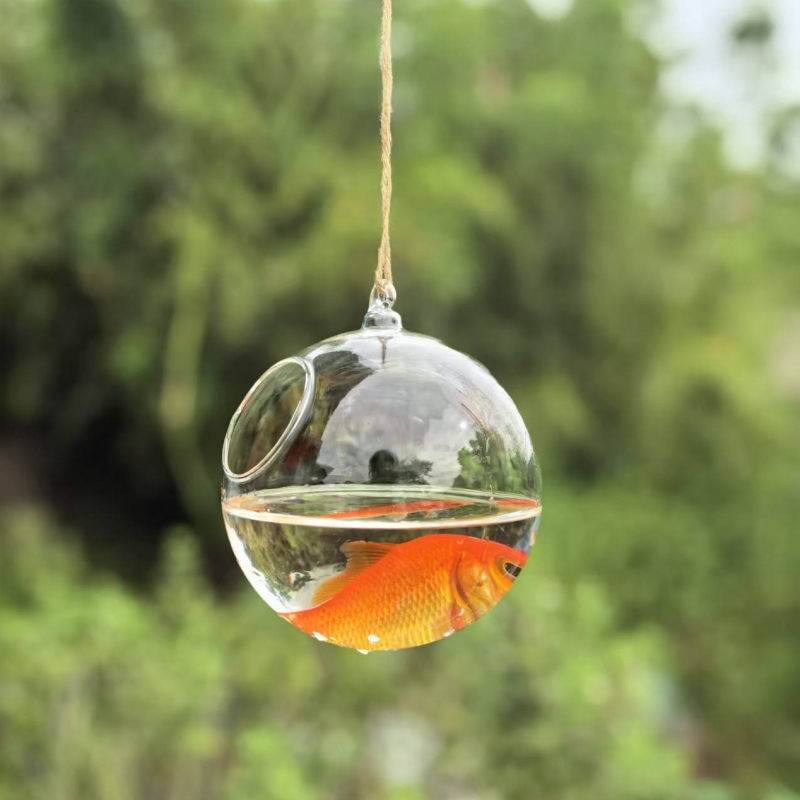 Petit terrarium en verre trans - Aquarium & Marine Science Center avis et prix