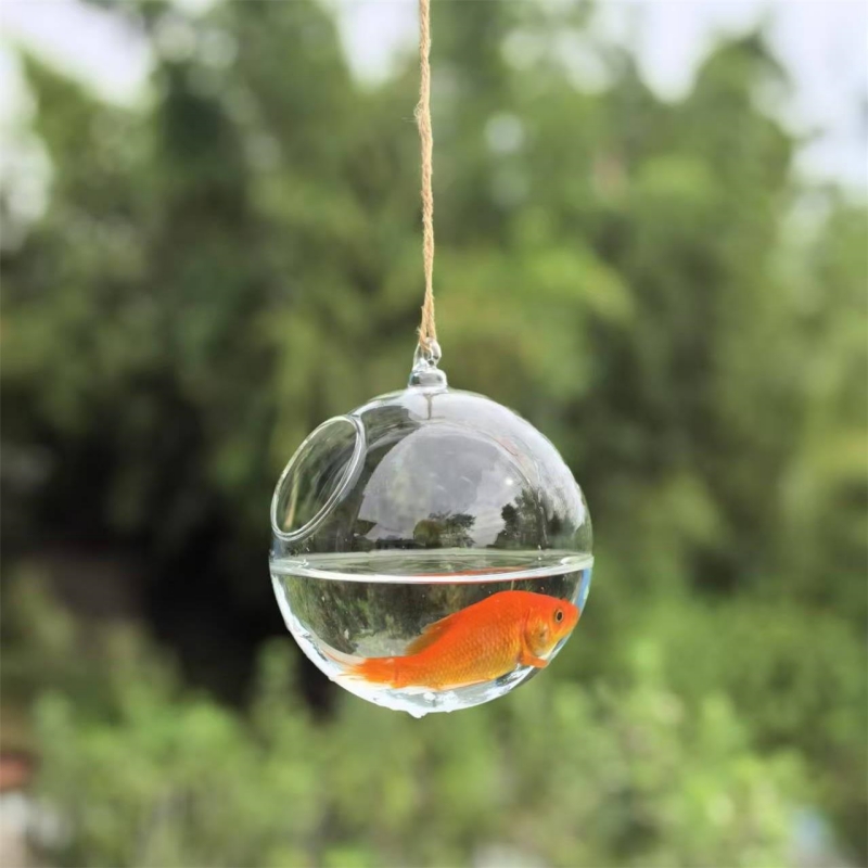 Petit terrarium en verre trans - Aquarium & Marine Science Center avis et prix