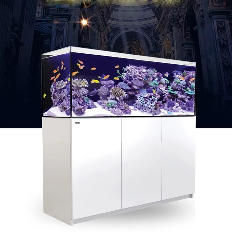 Accessoires d'aquarium de haut - Aquarium Marine Setup avis et prix