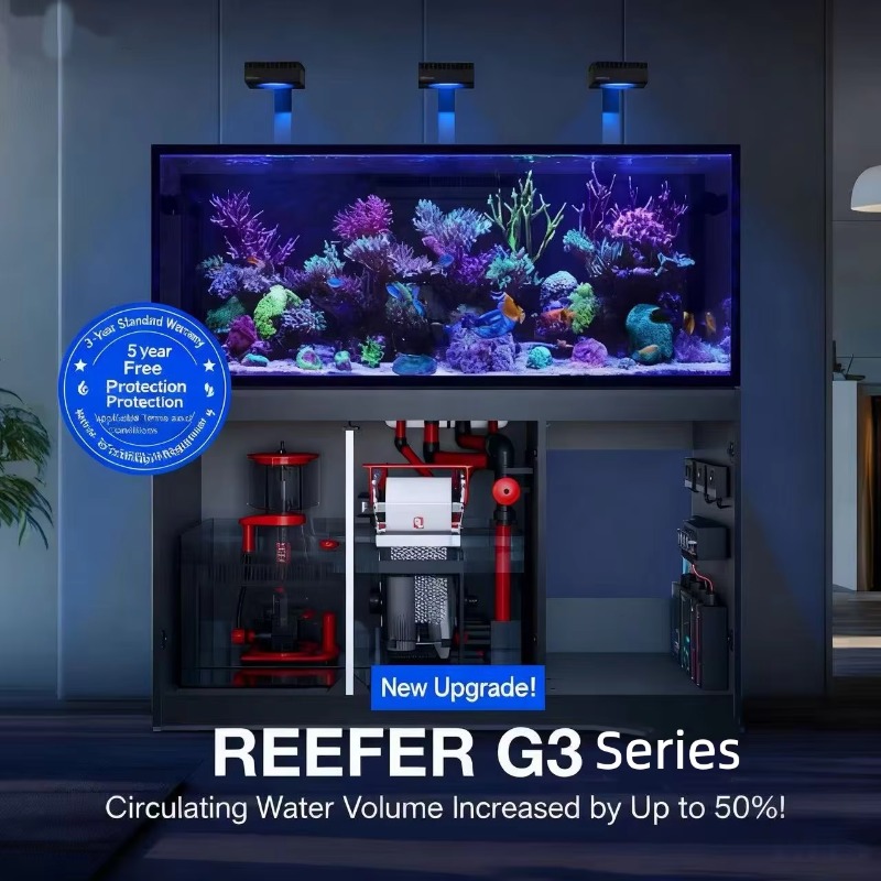Accessoires d'aquarium de haut - Aquarium Marine Setup avis et prix