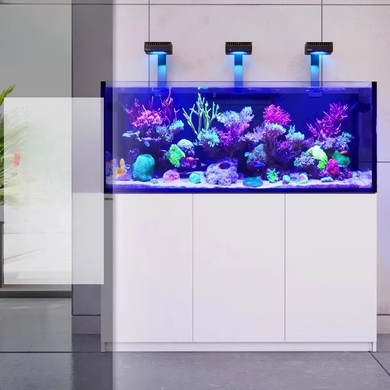 Accessoires d'aquarium de haut - Aquarium Marine Setup avis et prix