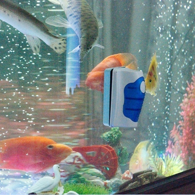 Nettoyeur de grattoir de verre - Marine Aquarium Glass Scraper avis et prix