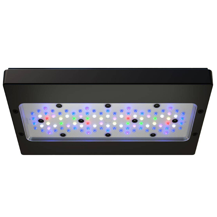 A8 PRO III Max et Blue 245W, l - Aquarium Blue Marine Reef avis et prix